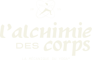 l'alchimie des corps CALCIUM