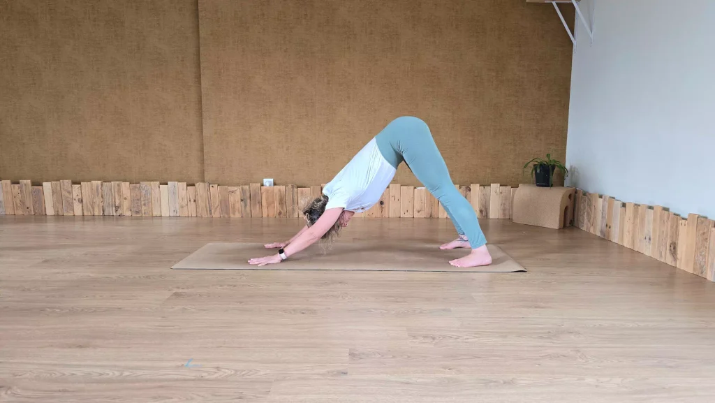 Adho Mukha Svanasana salutation du soleil