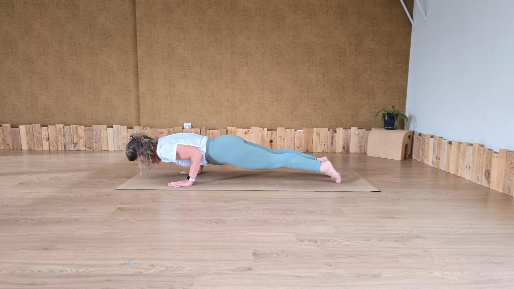 Chaturanga Dandasana salutation du soleil